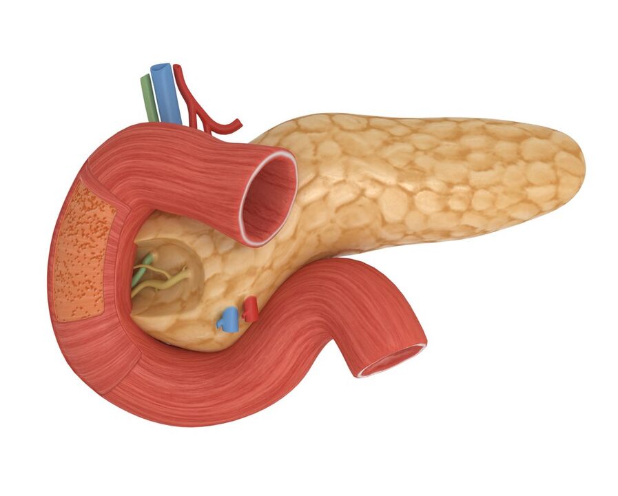 buona sensibilità all'insulina pancreatica dopo l'assunzione di Glucoren