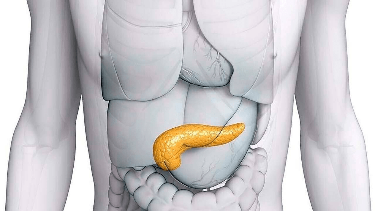 pancreas sano dopo aver preso Glucoren